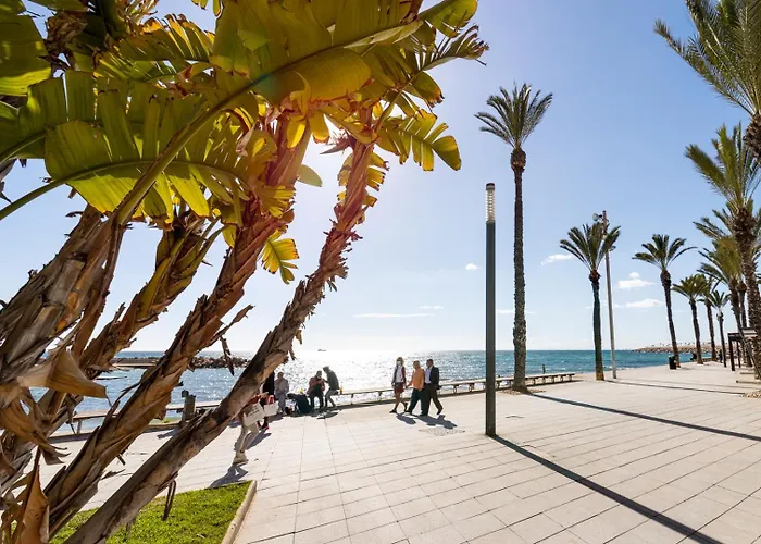 Ramon Appartement Torrevieja